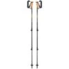 Leki Legacy Lite AS Poles -Camelbak Shop 1249811 legacy lite as poles mango olivgreen bottlegreen