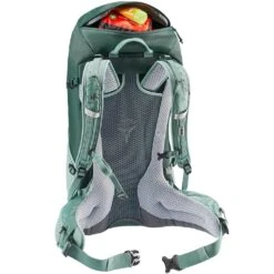 Deuter Futura 24 SL Hiking Backpack -Camelbak Shop 1258481 futura 24 sl backpack forest jade